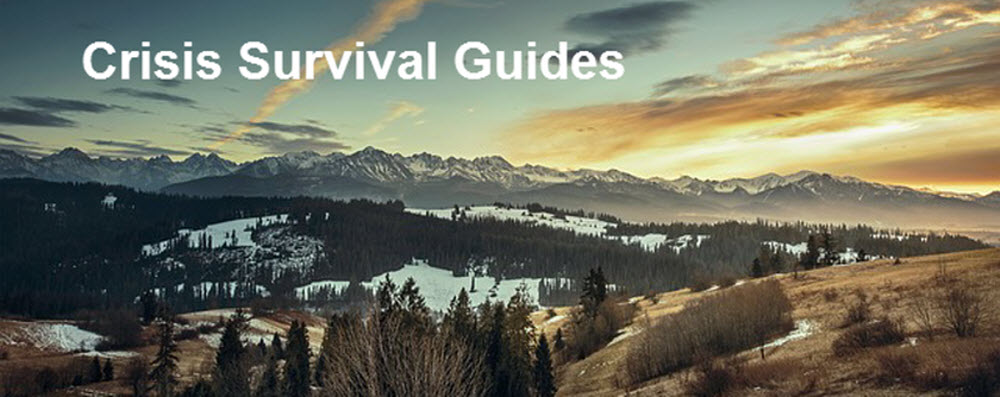 Crisis Suvival Guides